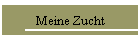 Meine Zucht